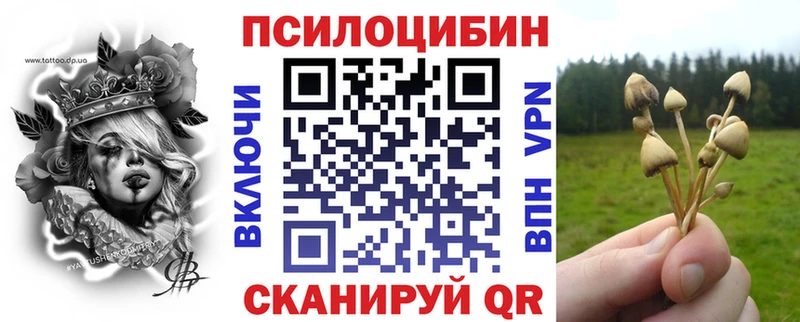 Псилоцибиновые грибы Psilocybe  Шахты 