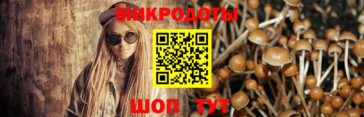 Галлюциногенные грибы мицелий  Вход с VPN  Шахты 